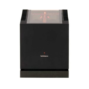 Brinkmann Mono Amplifier - Pair (Demo)